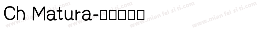 Ch Matura字体转换